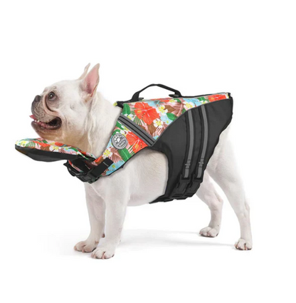 NautiPaw