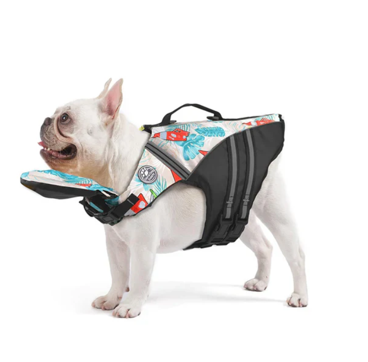 NautiPaw