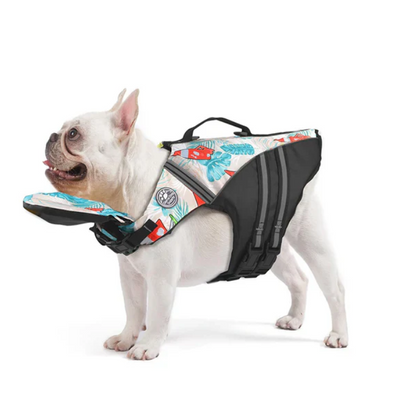 NautiPaw