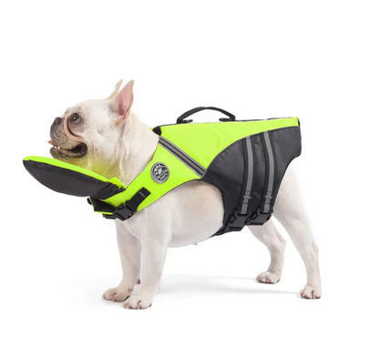 NautiPaw