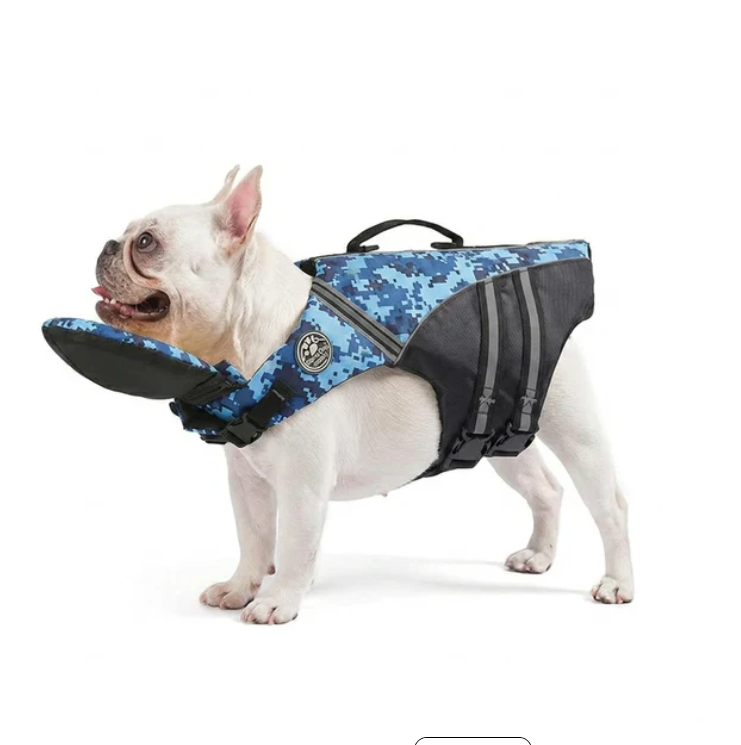 NautiPaw