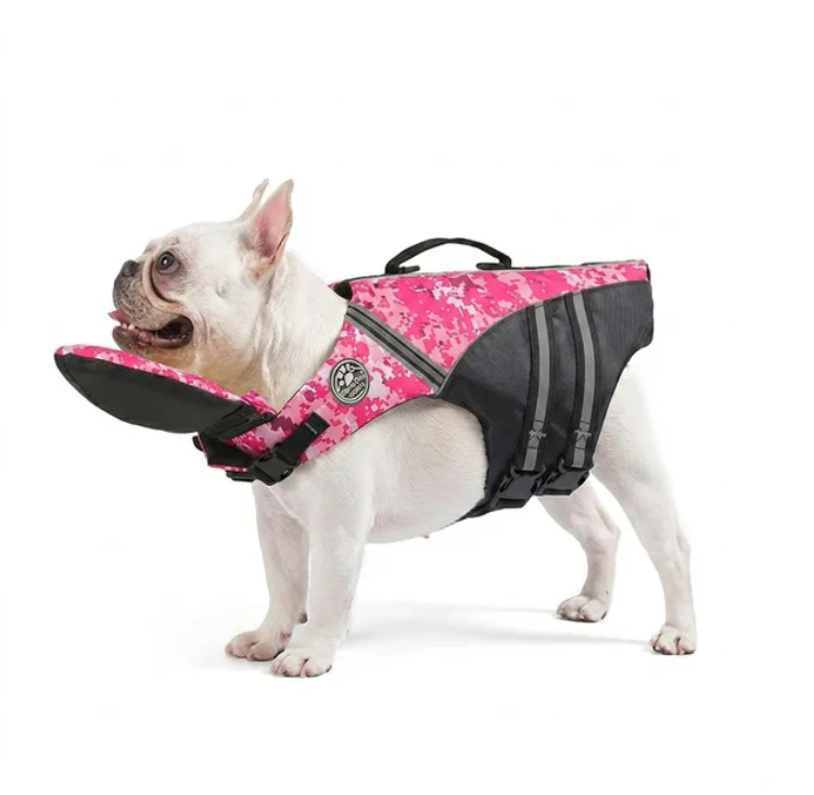 NautiPaw