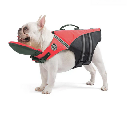 NautiPaw